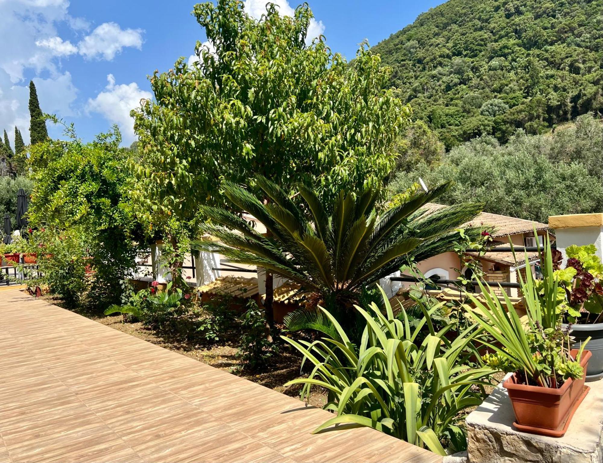 Afrodite'S Loft & Studios Paleokastritsa Exterior foto